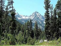 U yaqin atrofdan 6000 futdan (1830 m) baland ko'tariladi achchiq ildiz vodiysi. Bitterroot Mountains Wikipedia