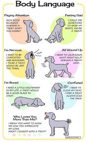 Dog Body Language Chart A Treat Is Always The Answer Dog Body Language Dog Care Dog Language