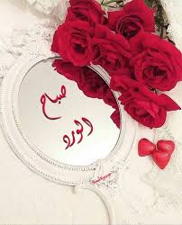 صباح الورد good night flowers morning greeting good morning greetings