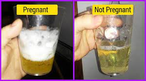 Salt And Urine Pregnancy Test Negative Pregnancy Test