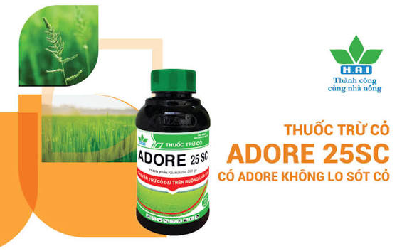 Adore 25SC