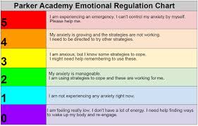 emotional regulation at parker academy parker education