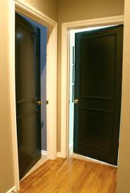 I went with sherwin williams tricorn black. Black Interior Doors Dimples And Tangles