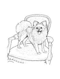 Pekingese dog coloring page you can print. Dog Breed Coloring Pages 3