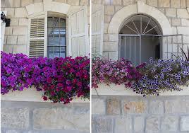 Maybe you would like to learn more about one of these? Container Gardening A Stunning Wall Of Color Creative Jewish Mom