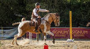 L'adoption d'un chien est un véritable engagement, à. Working Equitation Erobert Reiterherzen Im Sturm
