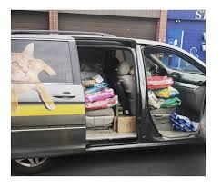 The population was 18,141 at the 2010 census. Community Pet Assistance Fund Pennsylvania Society For The Prevention Of Cruelty To Animals