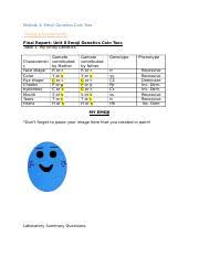 Pedigree worksheet answer key holidayfu com. Human Punnett Square Worksheet Doc Pedigree And Punnett Square Problem Date 1 Name Punnett Square Worksheet Human Characteristics Directions Complete Course Hero