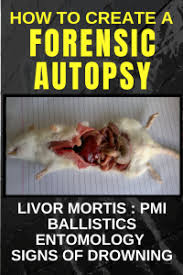 Learning targets science worksheets forensic science forensics research paper vocabulary fill presentation it forensic science blood and blood spatter notes: Forensic Science Autopsy Activity For High School Teach Every Day