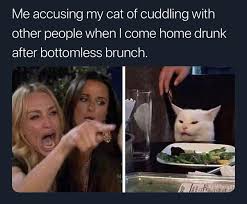 Cats on catnip 5 year adoption anniversary happy anniversary. Woman Yelling At A Cat Know Your Meme