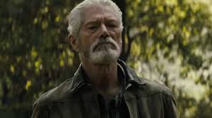 Don't breathe 2's supporting cast & characters. Don T Breathe 2 Movie Aug 2021 Trailer Star Cast Release Date Paytm Com