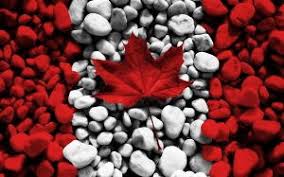 Canada Student Visa: Eligibility, fees, document checklist ...