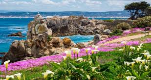 Posey was 77 years old and was born in carmel, ca. 25 Best Wedding Venues In Monterey California