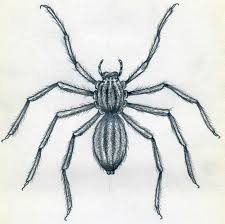 See more ideas about easy pictures to draw, pictures to draw, drawing sites. How To Draw Spider Simple Tutorial