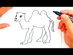 Draw an egg shape for the body. How To Draw A Camel Camel Easy Draw Tutorial Youtube