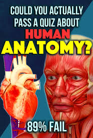 Ask questions and get answers from people sharing their experience with neurology. Quiz Could You Actually Pass A Quiz About Human Anatomy 89 Fail Human Anatomy Medical Knowledge Knowledge Quiz