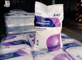 100% as per fco and quality product. Tuyen Nguyen Tuyenng95233585 Twitter