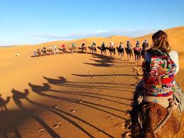 Guelmim, morocco souk has camels and goats on saturdays. A Great Selection Of Daytrips To Relaxed And Explore Morocco With A Professional Team Tizi Trekking Offers High Qua Morocco Tours Desert Tour Desert Travel