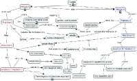 Free anonymous url redirection service. Meiosis Terminology Concept Map With Answers Docsity