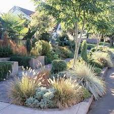 Check spelling or type a new query. 400 Drought Tolerant Garden Ideas Drought Tolerant Garden Xeriscape Plants