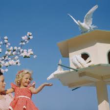 How long are nestlings confined to pressure treated wood? The Best Birdhouses To Buy 2020 The Strategist
