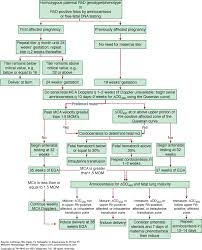 Chapter 54 Alloimmune Hemolytic Disease Of The Fetus And