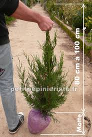 Respectez une distance de 80. Cypres 2001 Prix Vente Et Achat