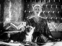 She also called out restaurants and hotels that refused her service and travelled across the usa giving talks on equality. Josephine Baker S Cheetah Lisa S History Room