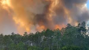 Panhandle Florida wildfires, fire weather warning for Miami ...
