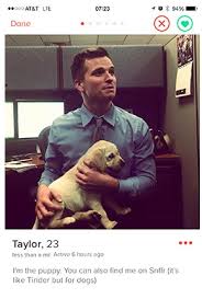 Don't fix me i am. 60 Creative Tinder Bios You May Want To Steal For Yourself Inspirationfeed