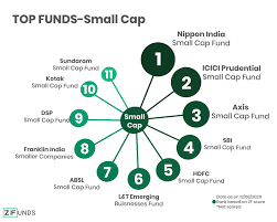 Best Small Cap Funds For 2024 | 5Paisa
