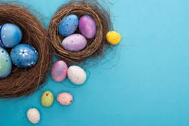 Check spelling or type a new query. Top View Of Colorful Easter Eggs In Nests On Blue Background Free Stock Photo And Image