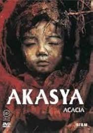 Akasya (Acacia)