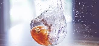 Laden sie lizenzfreie fotos suchen sie anhand eines bilds. Wie Geht Splashfotografie Coole Wasserfotos Machen E4sy