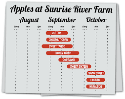 Apple Ripening Calendar For Sunrise River Farm And U Pick