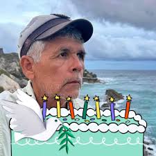 What catamaran snorkeling tours are available