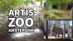 Artis Zoo | Amsterdam | Vlog 2025 - YouTube