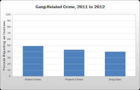 Gang Related Offenses