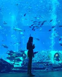 Pin By Women Style On Fish Reef Tank Tropical Fish Fish Tank