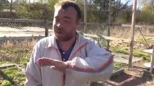 Пофиг. Уровень - достали | Пикабу