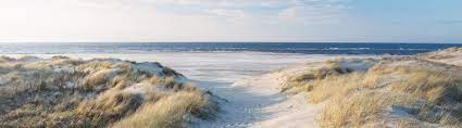 Our restaurant has opened again since may and will be open from thursday to sunday for lunch, drinks and dinner. Zandvoort Urlaub Am Meer Nahe Amsterdam Urlaubsguru