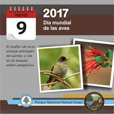 O mayunia, que es reencarnación e hijo a la vez, nació también el día 9 de mayo del año 753, dia de la. Parque Nacional Nahuel Huapi 9 De Mayo Dia Mundial De Las Aves