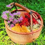 Summer Foraging Workshop