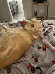 My cute little goofball.