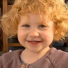 What dog food is suitable for Leonbergers?