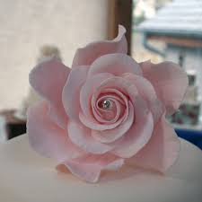 These blooms also make for a delicious addition in the kitchen. Home Furniture Diy 12 Peach Cream Roses Flowers Edible Cake Toppers Sugarcraft Wedding Cupcake Kisetsu System Co Jp