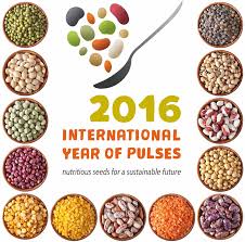 Nutritional Benefits Of Pulses Scientific India Magazine