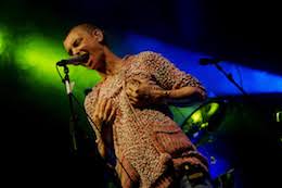 Sinead Oconnor And The Chiron Pluto Cry For Help