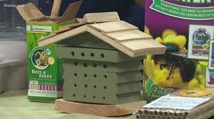 Getting ladybugs to come to your garden, and more importantly stay in your garden, is easy once you know a few simple facts and tricks. Make Your Garden More Welcoming To Pollinating Mason Bees 9news Com