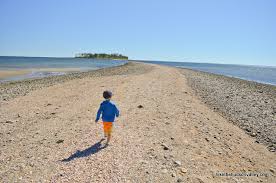 Silver Sands State Park Hike The Hudson Valley